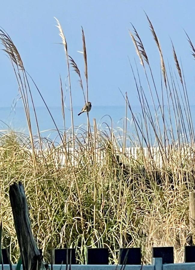 On The Beach 라카노오세앙 외부 사진